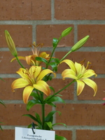 Foto: Dr. Peter Müller